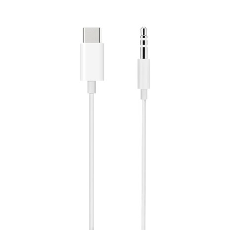 USB-C naar 3.5mm AUX kabel - zilver